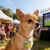 Collana per Animali a Tema Calcio Trofeo Ciondolo Pallone da Calcio Collare per Animali Catena Metallica Collare per Cani per Fan del Calcio Gatti e Cani