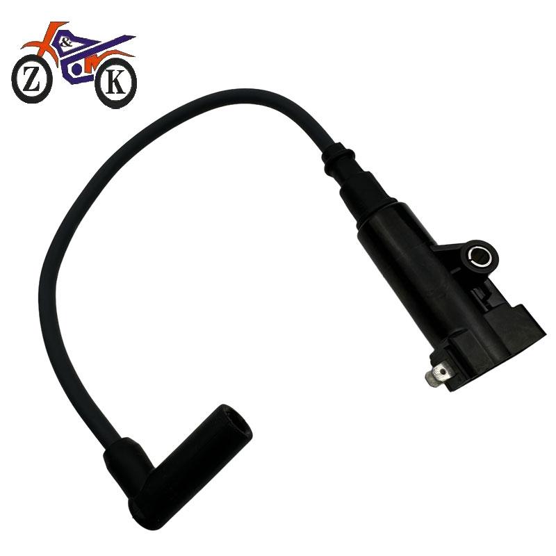 

1D12A EFI Motorcycle Ignition Coil For Delphi System Modify Part Replace Fit For Regal Raptor 350 28140972 1 SET