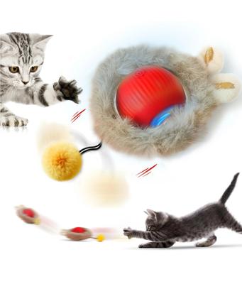 Gatos – Juguetes para gato