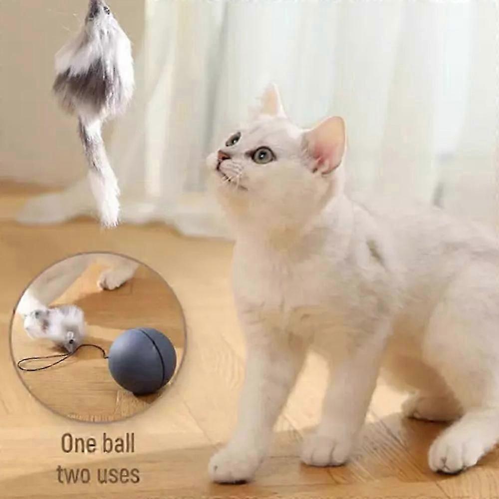 automatic cat toy ball interactive play