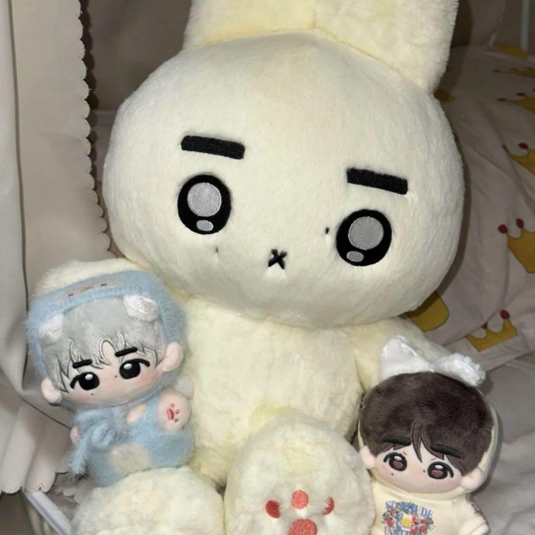 

[Б/У] Enhypen Sunghoon 40см Плюшевая Игрушка Мастер