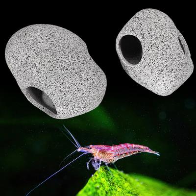 Peixes e animais aquáticos – Decoração de aquário