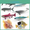Marine Animal Model Set With Pvc Material Realistic Fish Decor For Aquarium Enthusiasts