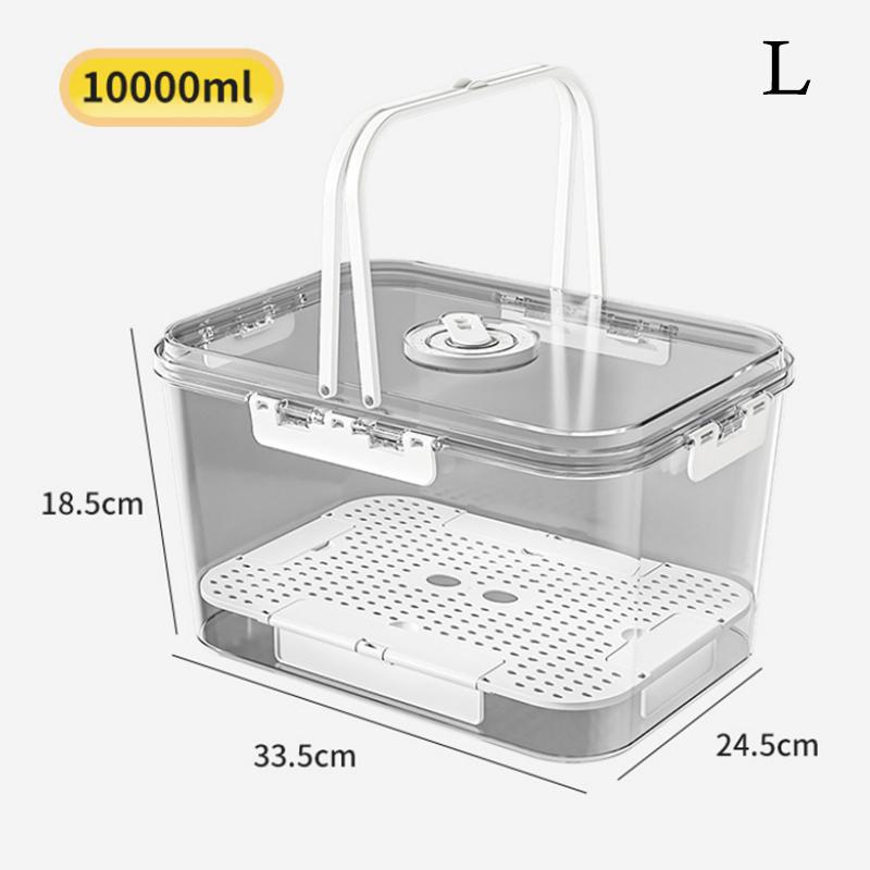 Picnic Box Clear Food Storage with Drain Plate for Easy Outdoor Use