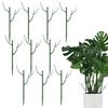 10 Stück Zweig Pflanzenstützhalter Baumast Pflanzenstäbe Abnehmbares Rankgitter für Garten Topfblume Moosstab