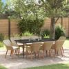 VidaXL 9-Piece Garden Dining Set Beige Poly Rattan 3261697
