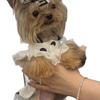 Polka Dot Dress Small Dogs Bichon Poodle Shih Tzu Teddy Cat Pet Clothing Soft Fleece Outfit