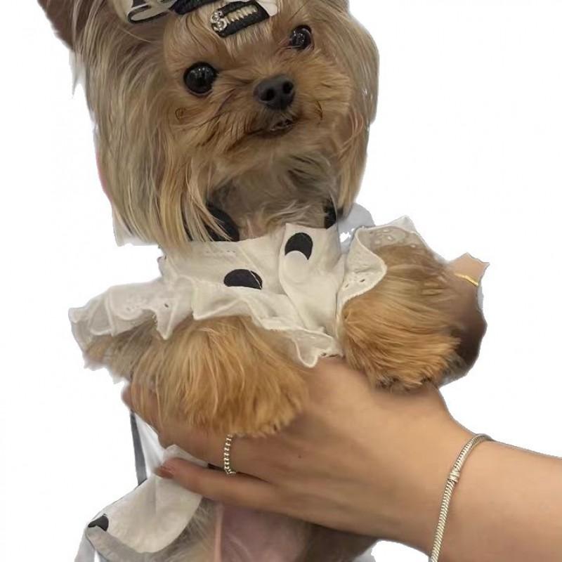 Polka Dot Dress Small Dogs Bichon Poodle Shih Tzu Teddy Cat Pet Clothing Soft Fleece Outfit