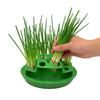 Compact Spring Onion Regrow Planter Countertop Hydroponic Regrow Station Removable Inner Tray & Lid Easy Kitchen Regrowing