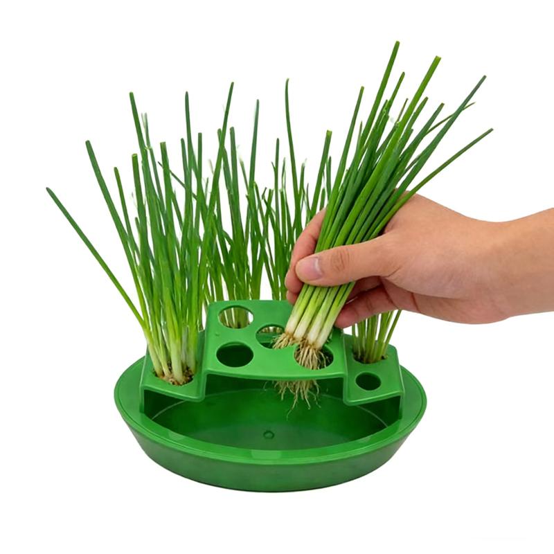 Compact Spring Onion Regrow Planter Countertop Hydroponic Regrow Station Removable Inner Tray & Lid Easy Kitchen Regrowing