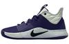 Pg 3 Tb 'Court Purple' CN9513-500