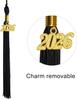 Matte Graduation Cap with 2026 Tassel for High School & BachelorWM