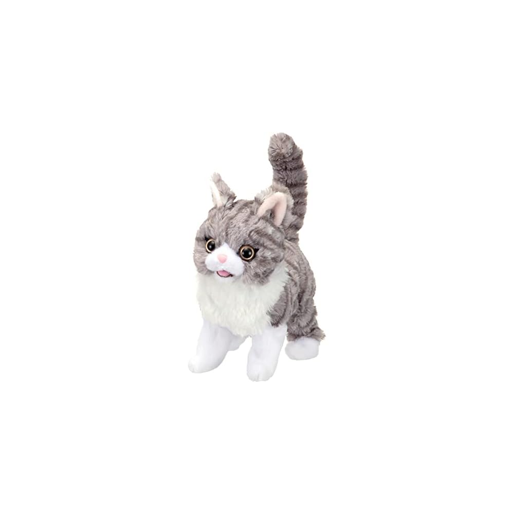 Iwaya Dakkode Miimi Tabby Cat Plush Toy Battery Operated Touch Sensor Electronic Pet 90x250x190mm