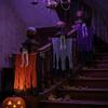 Party-Zubehör – Accessoires für Halloween
