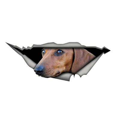 Tan Dachshund Car Stickers Scratch Blocking Self-Adhesive Waterproof Decal, Used for Car, Laptop, Motorcycle, Van, RV