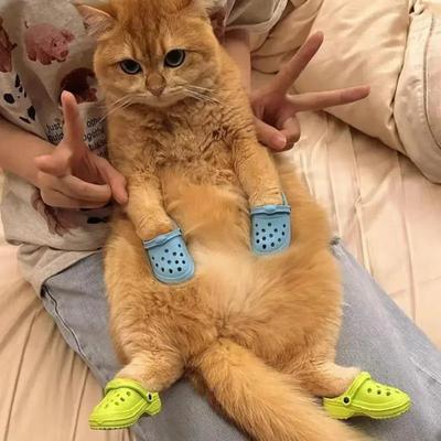 1 Paar Hundeschuhe Verdickte Lochschuhe Verschleißfest Atmungsaktiv Neue Mode Haustierschuhe Rutschfeste Hausschuhe Haustierbedarf für Hund