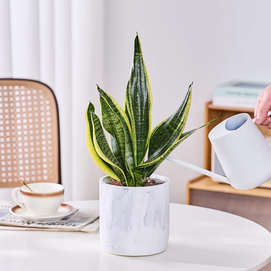 Ekirlin Blume mit Drainage Topfzimmer Marmormuster Topf, Pflanzgefäß, Nein. 6, 14.2cm, Loch, Stilvoll, Topf, Pflanze, Innenraum, Dekoration, Zimmerpflanze,