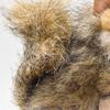 Keychain Squirrel No.6465