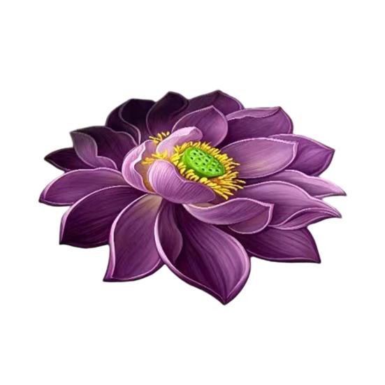 Lotus Flower Shaped Rug 3D Visual Effect Lotus Carpet Absorbent Area Rug with Non-Slip Backing for Bedroom Living Room Bathroom Kitchen