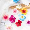 Artificial Flowers Wholesale Cheaper Diy Scrapbook Candy Box Festival Wreath Home Room Wedding Decor Fake Silk Cherry Head Props