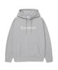 Authentic Logo Hoodie Gray