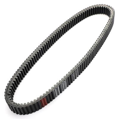 Motor – Correas de transmisión y correas dentadas