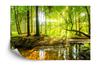Photomural Beautiful Forest Landscape In Spring In 3D Effect Structural Vinyl 416x254