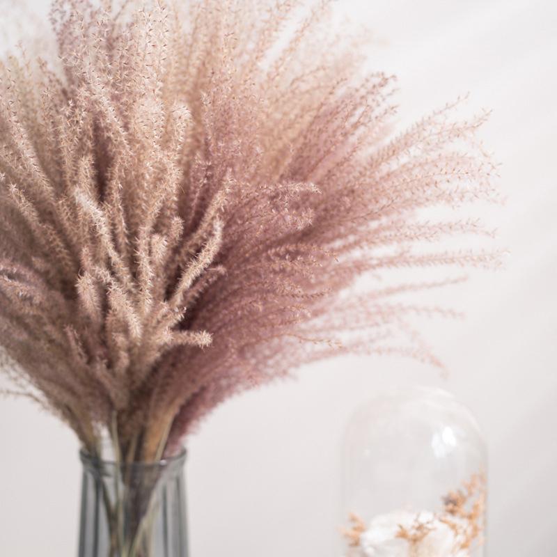 Reed Flower Bouquet Natural Dried Flowers for Home Decoration 55x10cm