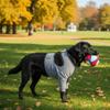 Breathable Dog Leg Sleeve Professional High Elasticity Dog Elbow Brace Long Sleeve Polyester Dog Knee Pads Licking Prevention