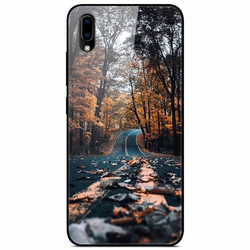 Für vivo V17 Hüllen V17 Pro Gehärtetes Glas Harte Rückseite Für Vivo V15 Pro Handyhülle Coque Für Vivo X50 Pro Lite Hülle X 50Lite