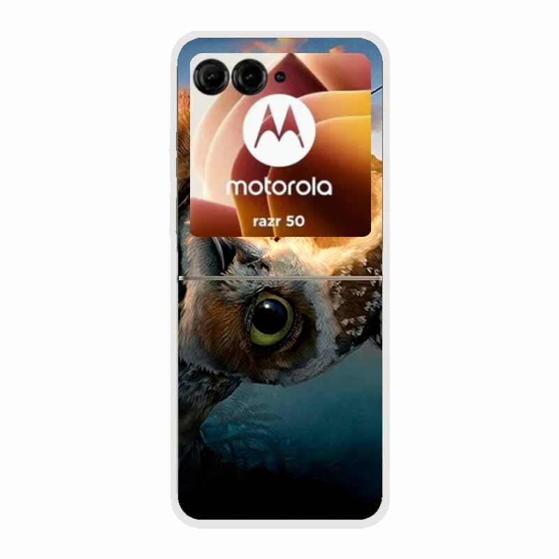For Motorola Razr 50 Ultra Case Plastic Hard Painted Cartoon Transparent Back Cover Case for Motorola Razr 50 5G Hard PC Case 50