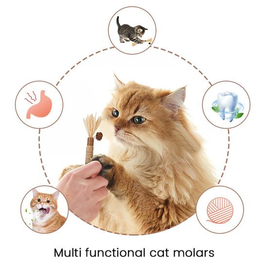 Cat Chew Toy Natural Silver Vine Dental Stick Cats Teeth Cleaning Self-play Toy Safe Catnip Chew Stick for Indoor Cats Playing Promotes Dental Health