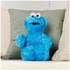 GUND SESAME STREET Cookie Monster 6047452