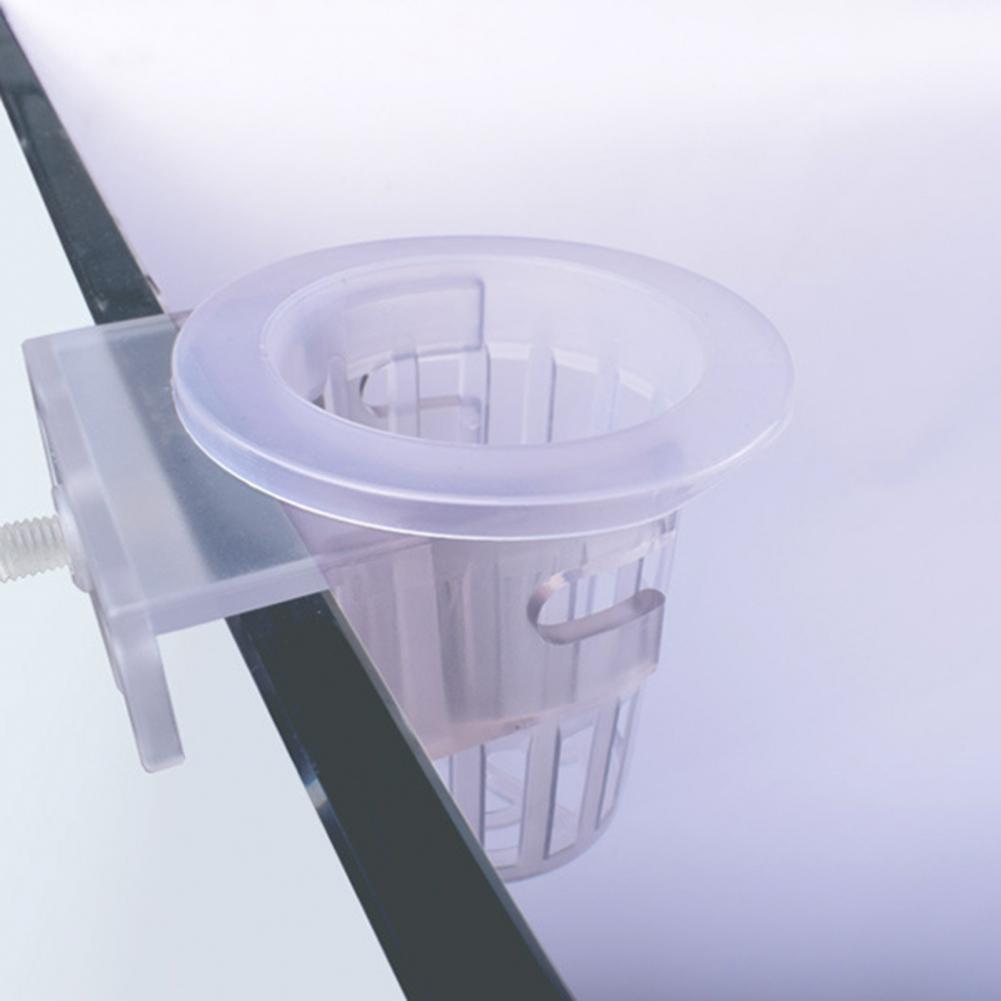 Aquarium-Pflanzenhalter Mit Haken, 2 Stück – Transparente Hängehalter Für Wasserpflanzen Wie Efeutute
