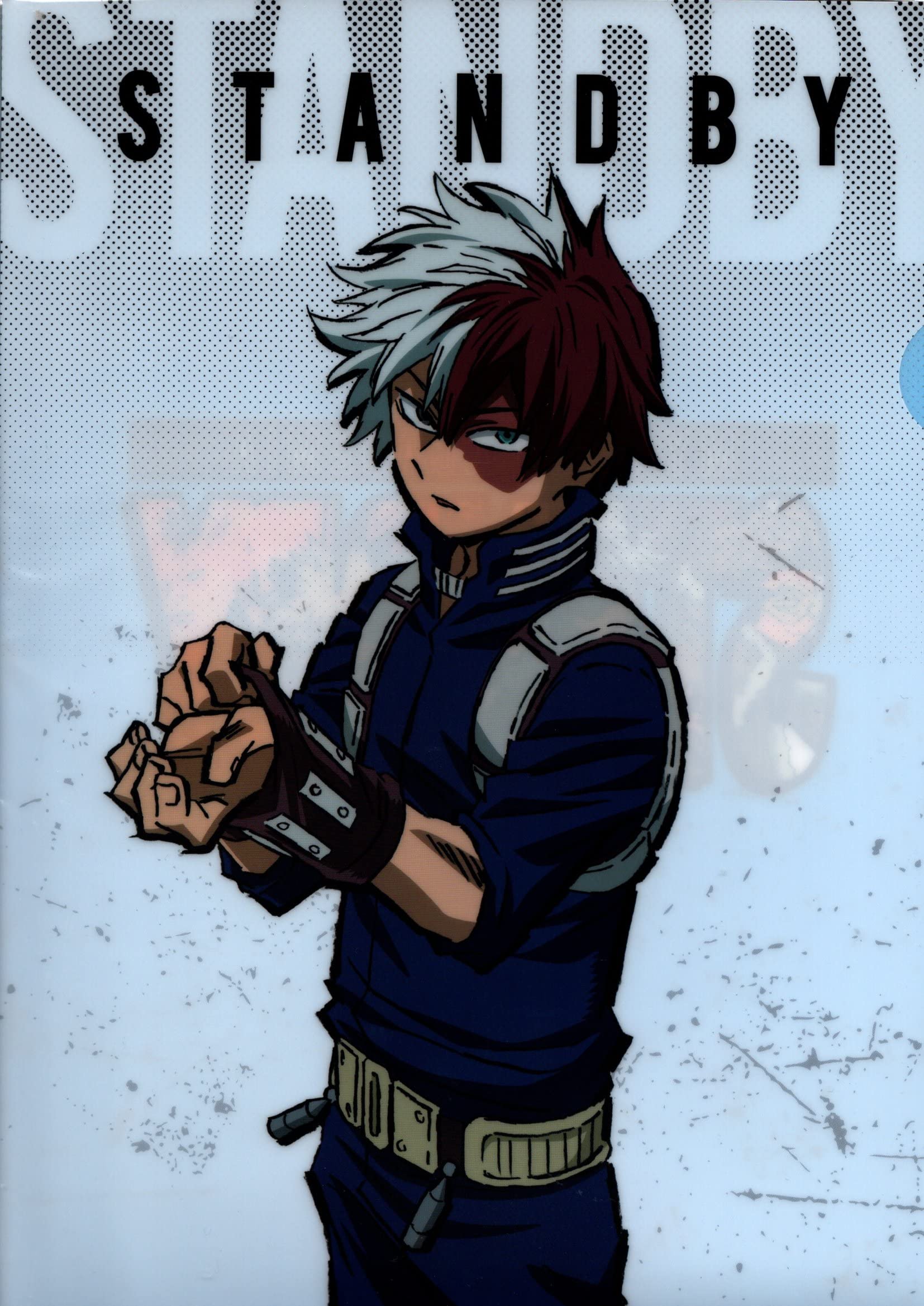 

Clear File My Hero Academia Standby Todoroki Shoto