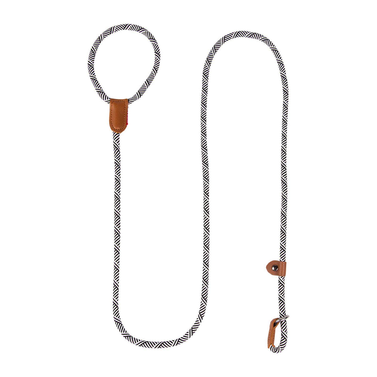 

Pet Leash for Dog Walking - Korean Design, -Loss, P-Chain Training Leash for Puppies One Size