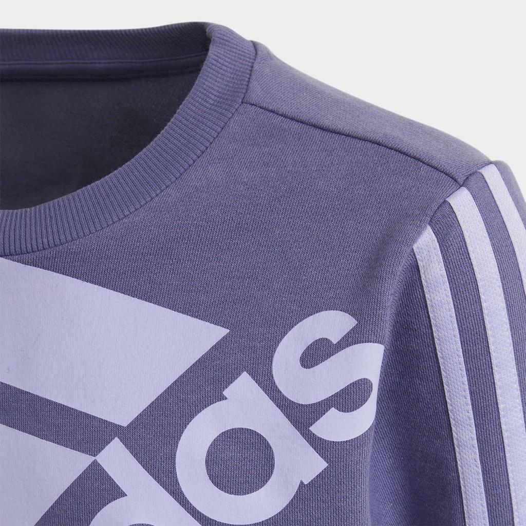 adidas Kids Sweatshirts Crew Neck Moderate GS2181