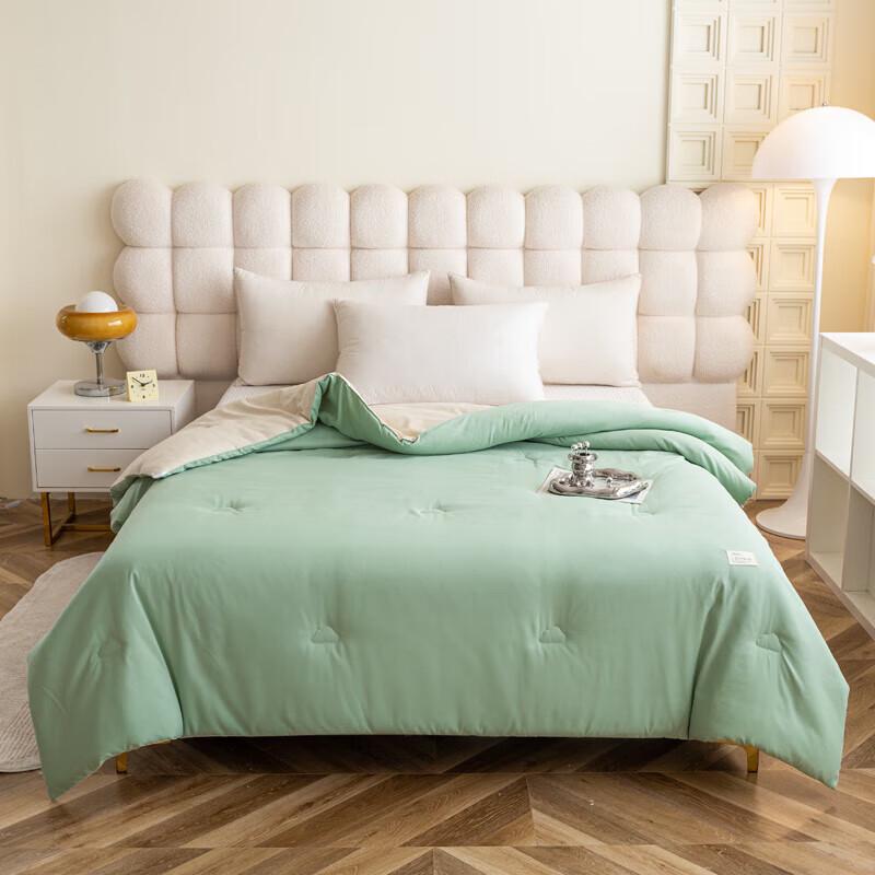 

Red Dragonfly Cloud-Feel Four Seasons Fiber Quilt