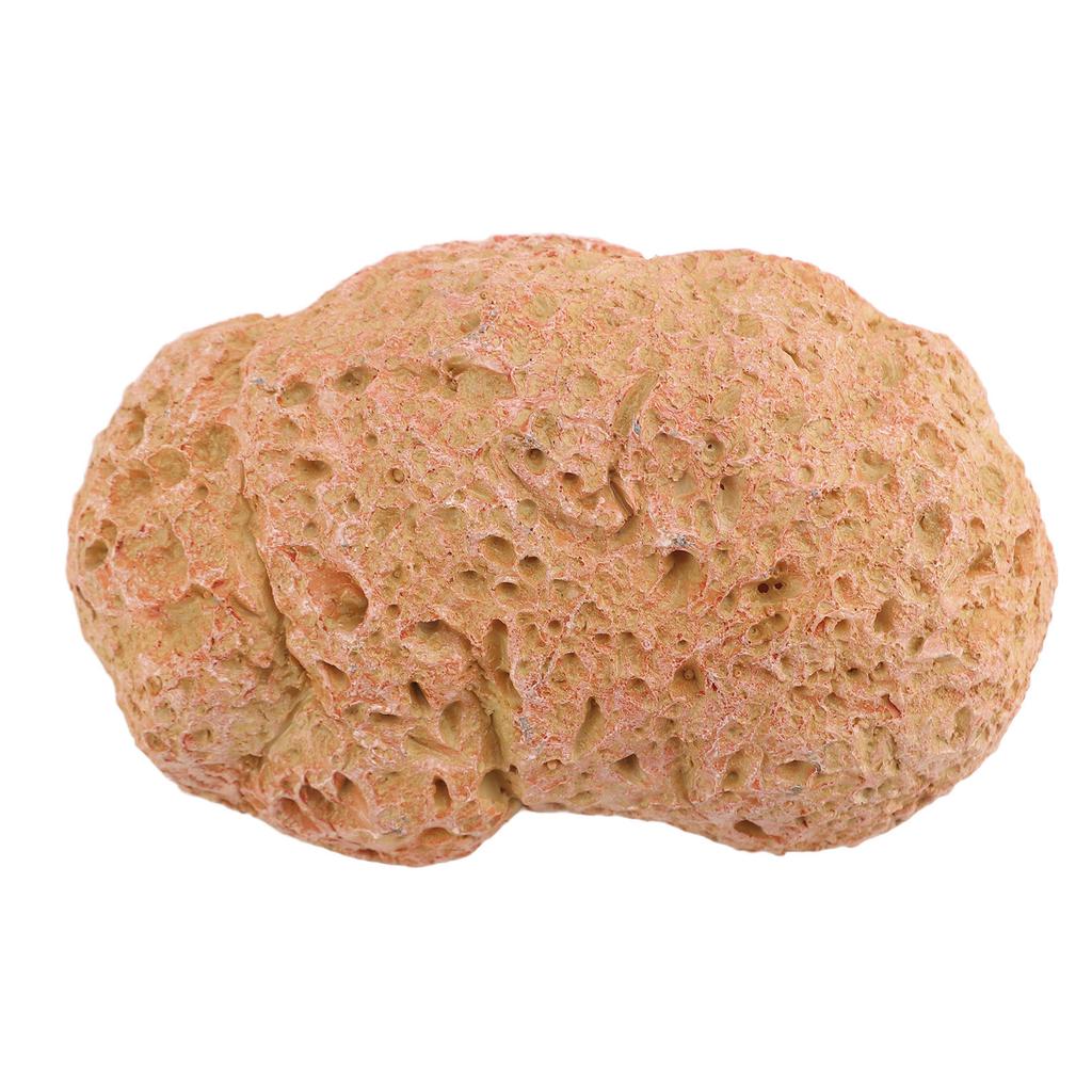 Fake Rock Schlüsselbox Wetterfest Erhöhte Sicherheit Vielseitige Harzstein Schlüsselversteck Aufbewahrungsbox für