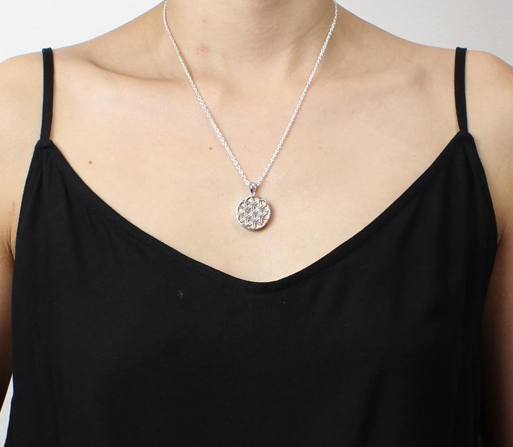 [World Accessories Carmelo] Flower of Life Divine Geometry Flower of Life Gibeon Meteorite Pendant Sterling Silver 925 Gold Small