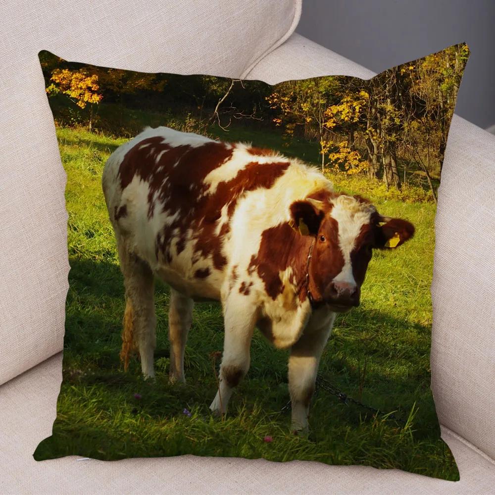 Scotland Kyloe Pillow Case Decor Wild Cow Colorful Animal Print Pillowcase Soft Short Plush Cushion Cover for Home Sofa 45x45cm