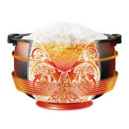 Tiger overseas model 5.5 go pressure IH rice cooker JPC-W10W 220V specification made Japan