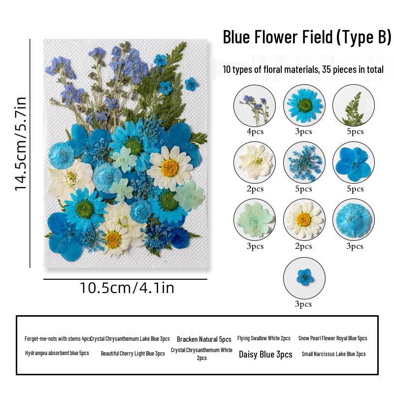 DIY Dried Flower Specimen Sticker Set for Kids: Handmade Pressed Flower Frames & Resin Bookmark Craft Kit