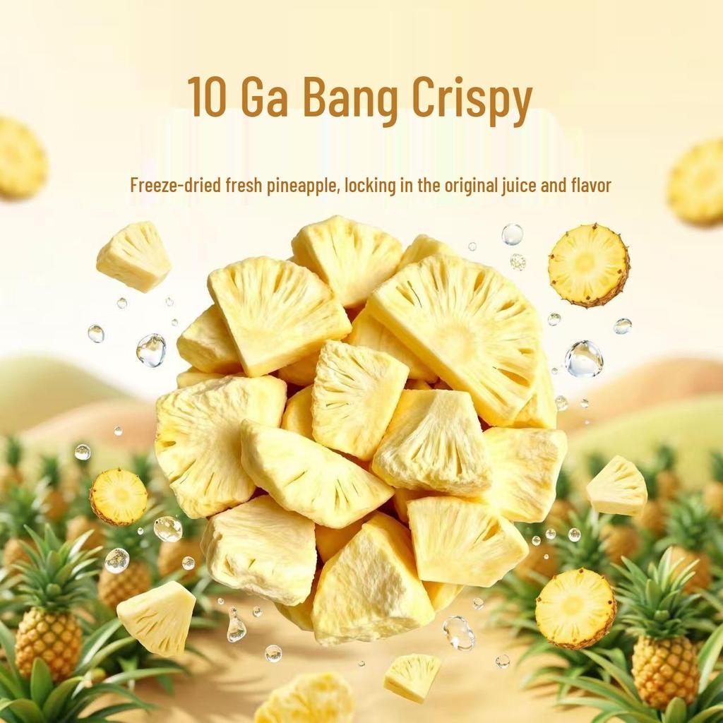 Freeze-Dried Pineapple Slices - Dried Fruit Snack & Baking Ingredient
