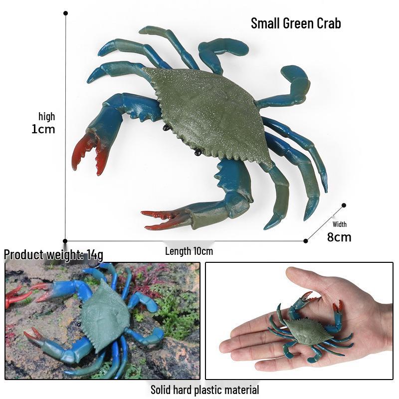 Children's Cognitive Toy: Hermit Crab Marine Animal Model Ornament