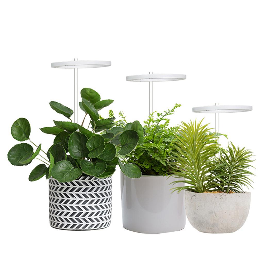 LED Plant Grow Light 5 Dimmable Modes Dual Head Timing USB Plant Lamp for Succulents Potted Plants