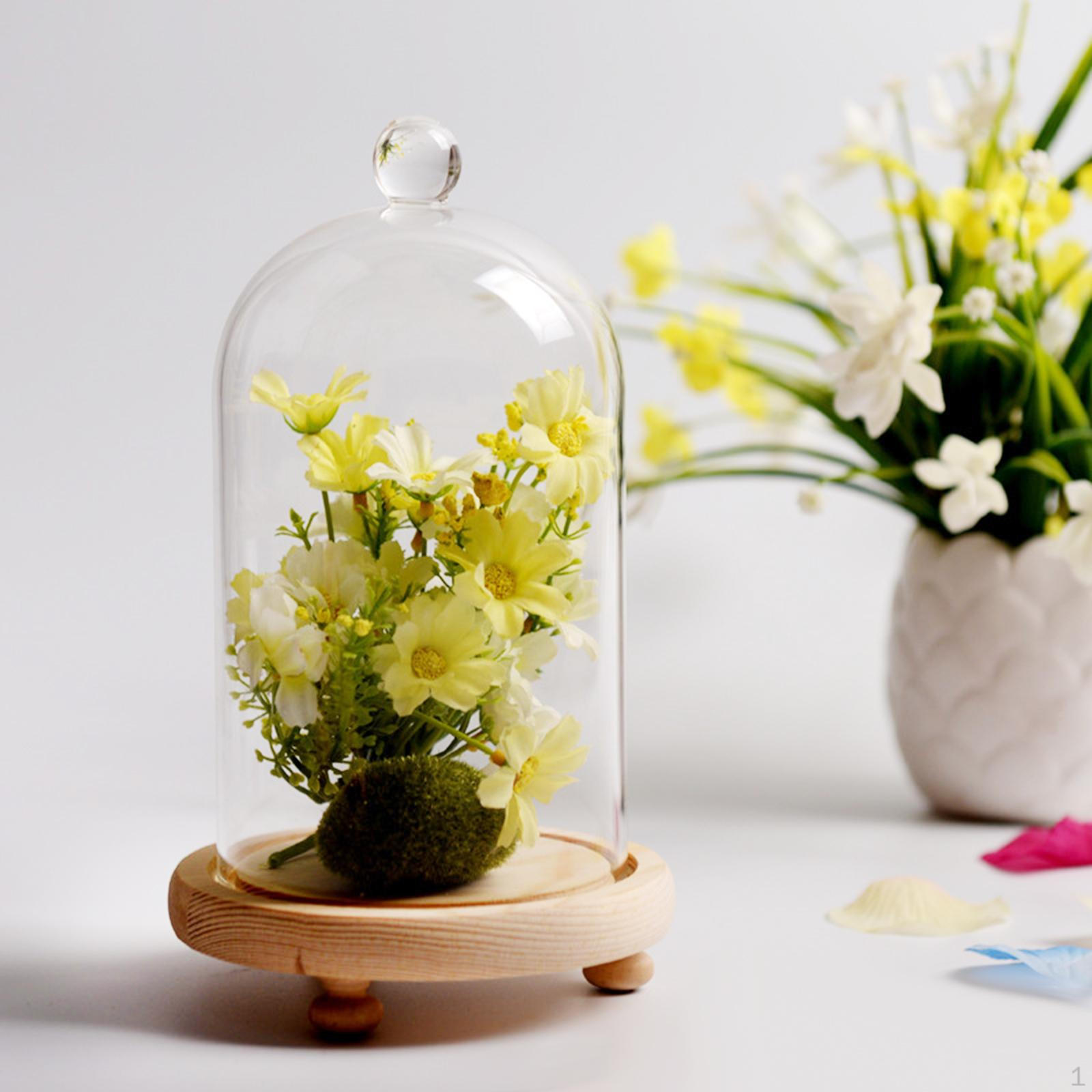 

Прозрачная стеклянная крышка колокола, подставка для дисплея, прозрачная деревянная основа для поделок из цветов своими руками 10x16cm