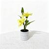 Simulated Artificial Flowers, Straight Tube Black Sand, Two Types of White Lilies, Indoor Artificial Green Plants, Small Pot Plant Decorative Pieces