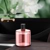 Smart Car Aromatherapy Humidifier: Automatic Spraying Ornament for High-End Car and Home