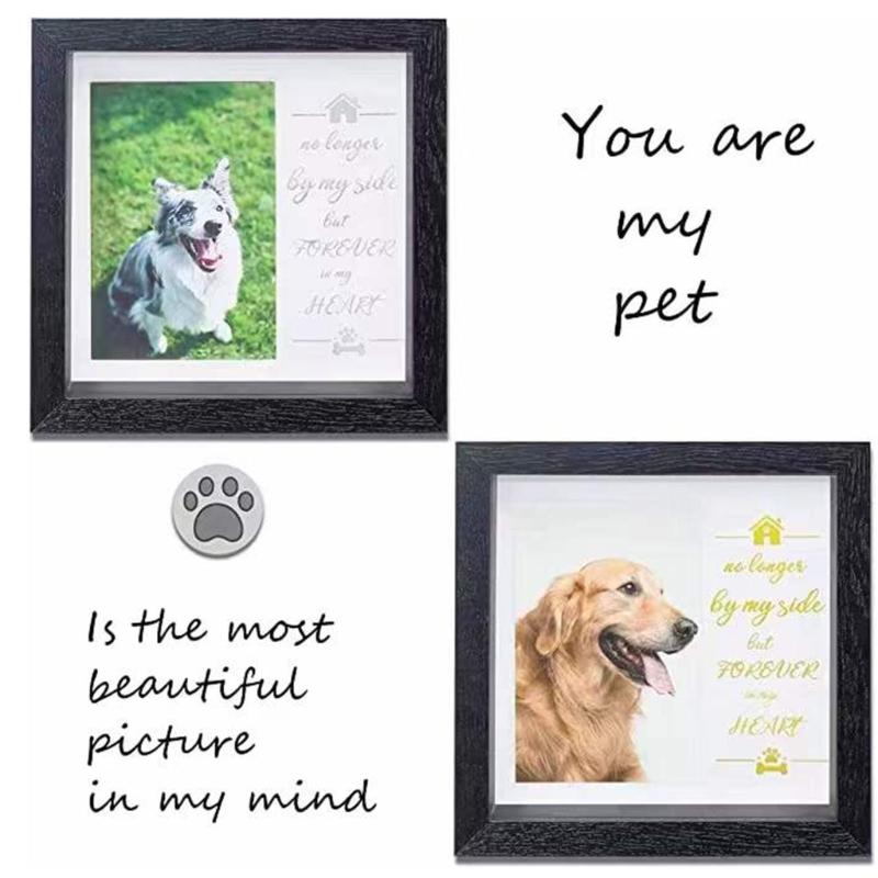 Pet Memorial Picture Frame Sympathy Dog Cats Collar Gift Memorial Picture Loving Dog Keepsake for Pet Collar Holder